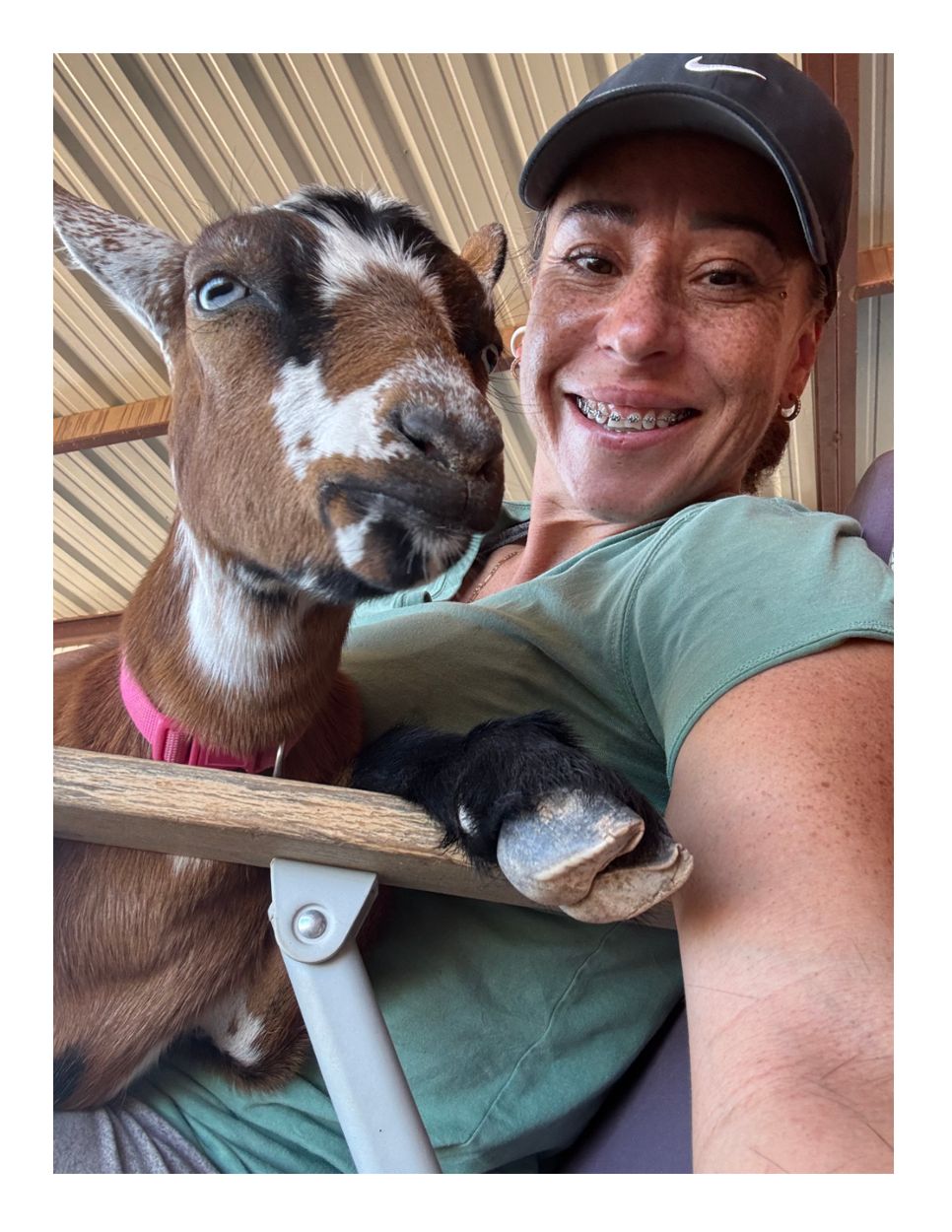 A favorite ranch companion