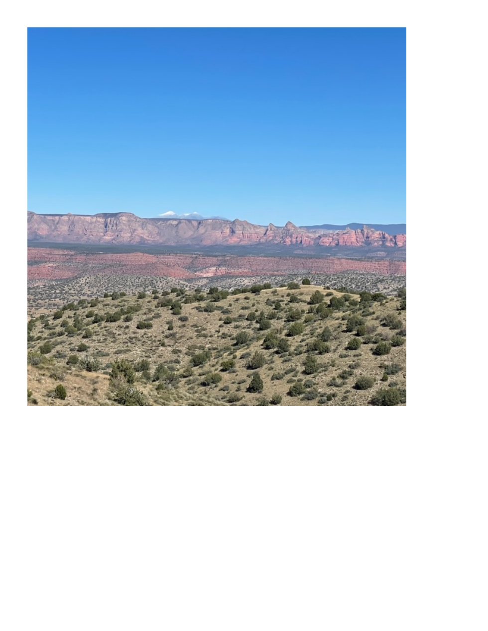 Views of the Arizona landscape
