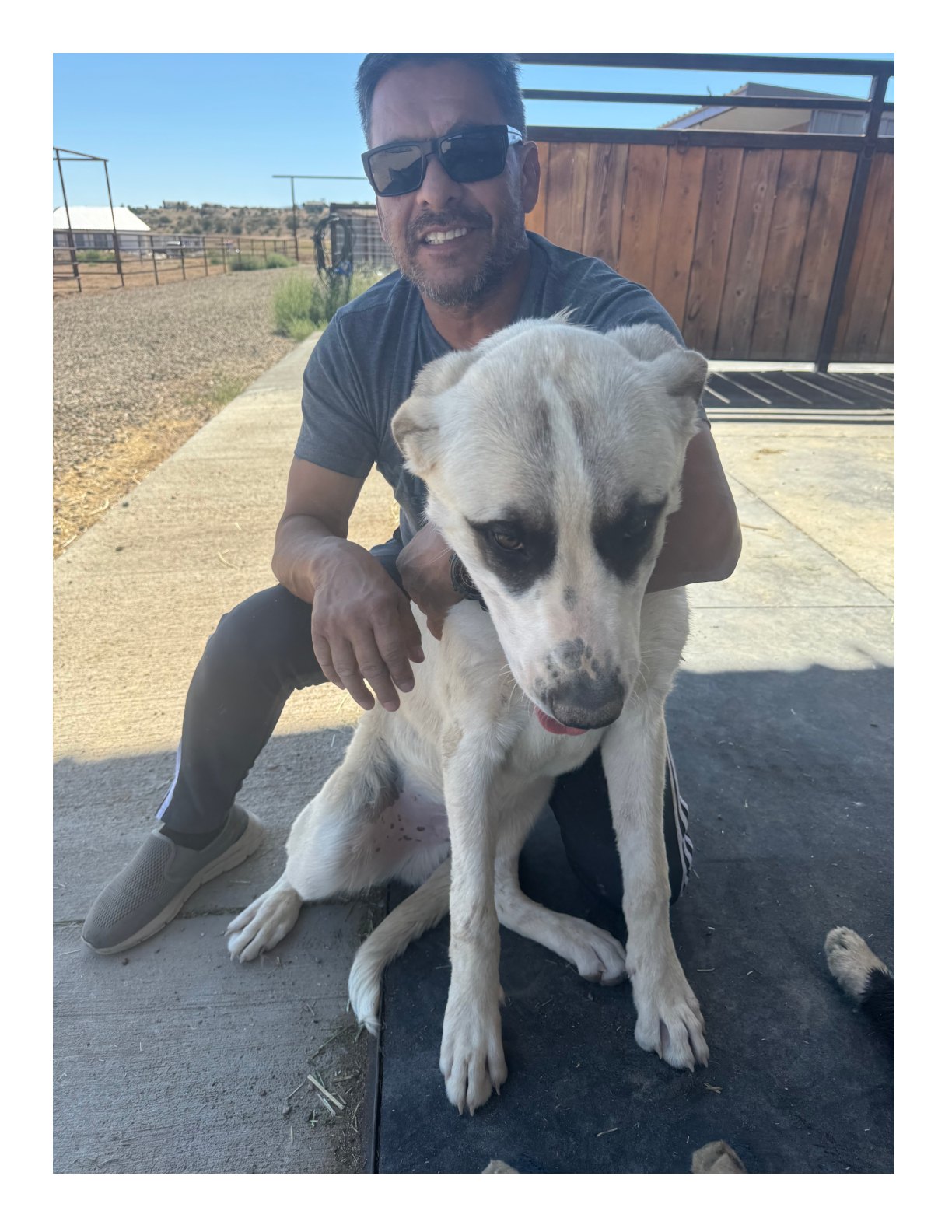 Ranch companion enjoying time together